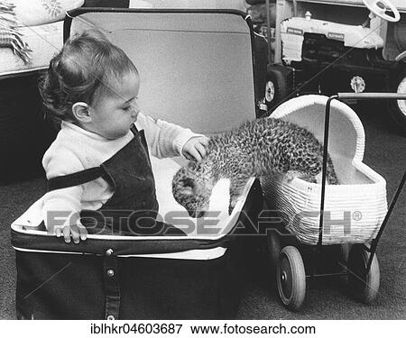 Baby and small cat in a stroller, England, Great Britain View Large Photo Image Stock Photo - Baby and small cat in a stroller, England, Great Britain. Fotosearch