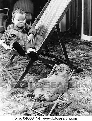 Picture - Baby lion and boy in deckchairs, England, Great Britain. Fotosearch