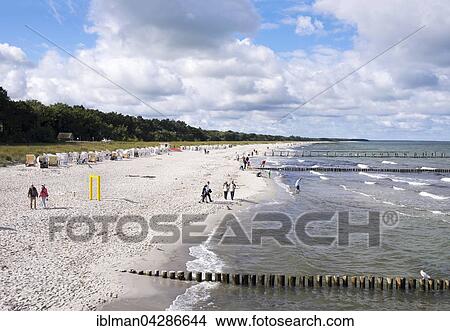 Picture - Baltic sea beach in Ostseeheilbad Zingst, Baltic Sea Health Spa, Fischland-Darss-Zingst, Western Pomerania Lagoon Area National Park, Mecklenburg-Western Pomerania, Germany, Europe. Fotosearch