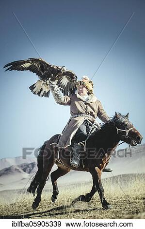 Bashakhan Spai trains with his eagle, Kisil Tschar, Olgii, Mongolia, Asia View Large Photo Image Stock Photo - Bashakhan Spai trains with his eagle, Kisil Tschar, Olgii, Mongolia, Asia. Fotosearch