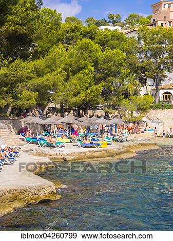 Beach and bay of Cala Fornells, Majorca, Balearic Islands, Spain, Europe View Large Photo Image Stock Photo - Beach and bay of Cala Fornells, Majorca, Balearic Islands, Spain, Europe. Fotosearch