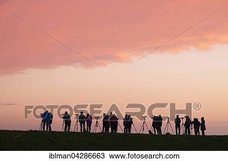 Birdwatchers at the Barth Bodden lagoon, in the evening light, Ostseeheilbad Zingst, Baltic Sea Health Spa, Fischland-Darss-Zingst, Western Pomerania Lagoon Area National Park, Mecklenburg-Western Pomerania, Germany, Europe View Large Photo Image Stock Image - Birdwatchers at the Barth Bodden lagoon, in the evening light, Ostseeheilbad Zingst, Baltic Sea Health Spa, Fischland-Darss-Zingst, Western Pomerania Lagoon Area National Park, Mecklenburg-Western Pomerania, Germany, Europe. Fotosearch