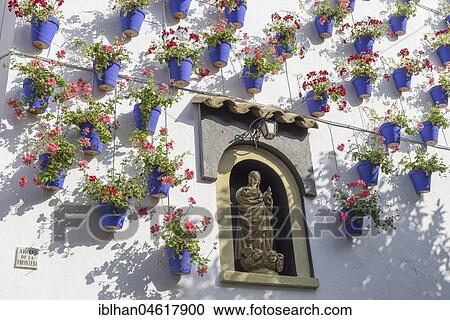 Blue flower pots on the wall, Open Air Museum Spanish Village, Poble Espanol de Montjuic, Barcelona, Catalonia, Spain, Europe View Large Photo Image Stock Image - Blue flower pots on the wall, Open Air Museum Spanish Village, Poble Espanol de Montjuic, Barcelona, Catalonia, Spain, Europe. Fotosearch