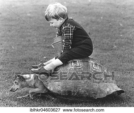 Stock Photo - Boy and a dog playing with a turtle shell, England, Great Britain. Fotosearch