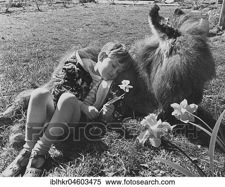 Stock Photography - Boy sleeps on a donkey, England, Great Britain. Fotosearch