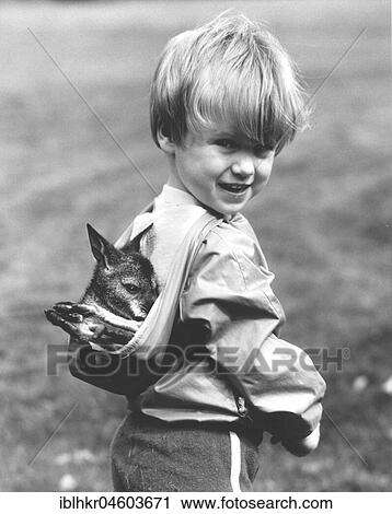 Stock Image - Boy wears small Kanguru in hood, England, Great Britain. Fotosearch