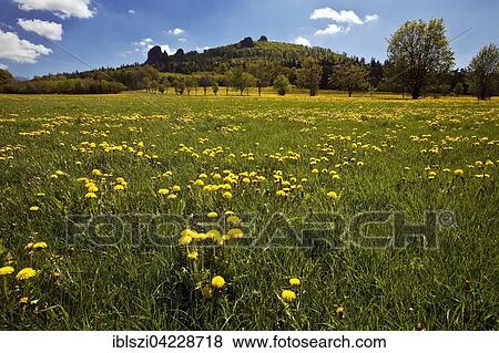 Bruchhauser Steine with dandelion meadow, Olsberg, Sauerland, North Rhine-Westphalia, Germany, Europe View Large Photo Image Stock Photo - Bruchhauser Steine with dandelion meadow, Olsberg, Sauerland, North Rhine-Westphalia, Germany, Europe. Fotosearch