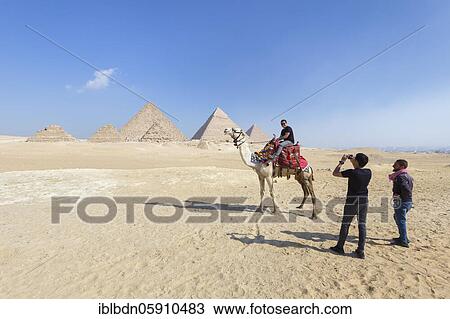 Camel riding at the pyramid complex, Giza, Egypt, Africa View Large Photo Image Stock Image - Camel riding at the pyramid complex, Giza, Egypt, Africa. Fotosearch