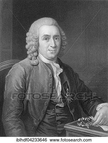 Carl Linnaeus or Carl von Linne, 1707, 1778, Swedish botanist, physician, and zoologist View Large Photo Image Stock Photograph - Carl Linnaeus or Carl von Linne, 1707, 1778, Swedish botanist, physician, and zoologist. Fotosearch