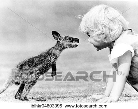 Stock Photography - Child and baby kangaroo, England, Great Britain. Fotosearch