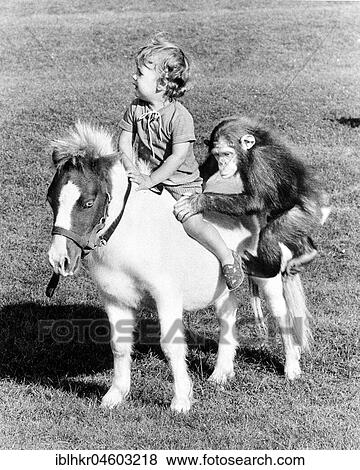 Child and chimpanzee ride on a pony, England, Great Britain View Large Photo Image Stock Photo - Child and chimpanzee ride on a pony, England, Great Britain. Fotosearch