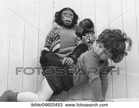 Child carries chimpanzee and baby lion on his back, England, Great Britain View Large Photo Image Stock Image - Child carries chimpanzee and baby lion on his back, England, Great Britain. Fotosearch