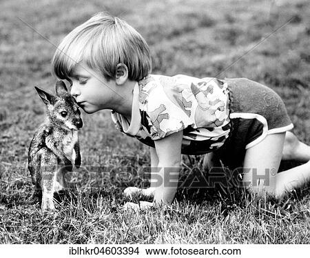 Child gives baby kangaroo a kiss, England, Great Britain View Large Photo Image Picture - Child gives baby kangaroo a kiss, England, Great Britain. Fotosearch