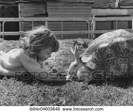 Stock Photo - Child playing with rabbits, England, Great Britain. Fotosearch