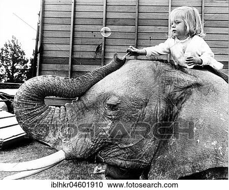 Stock Image - Child sitting on elephant's back, England, Great Britain. Fotosearch