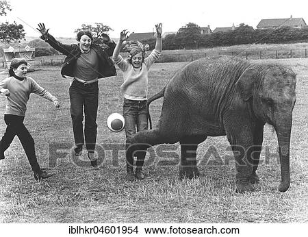 Children play with an elephant ball, England, Great Britain View Large Photo Image Picture - Children play with an elephant ball, England, Great Britain. Fotosearch