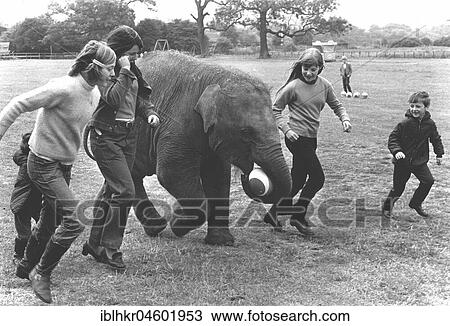 Children play with an elephant ball, England, Great Britain View Large Photo Image Stock Image - Children play with an elephant ball, England, Great Britain. Fotosearch