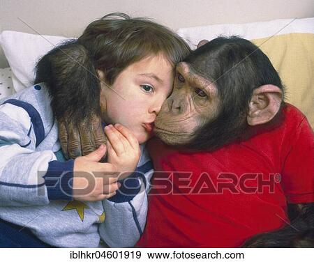 Stock Photo - Chimpanzee and boy cuddling, England, Great Britain. Fotosearch