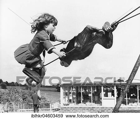 Stock Photo - Chimpanzee and girl on the swing, England, Great Britain. Fotosearch