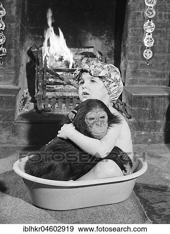 Stock Photo - Chimpanzee bathes with girl, England, Great Britain. Fotosearch
