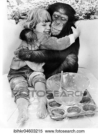 Chimpanzee hugs little girl, big friends, England, Great Britain View Large Photo Image Stock Photography - Chimpanzee hugs little girl, big friends, England, Great Britain. Fotosearch
