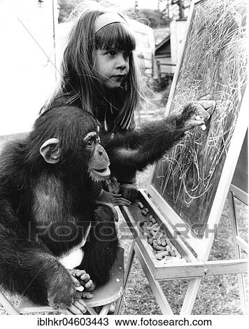 Stock Image - Chimpanzee with girls on blackboard, England, Great Britain. Fotosearch