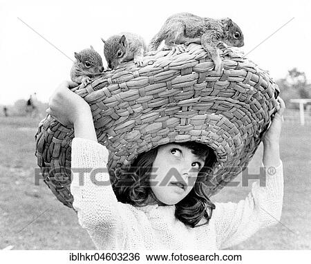 Chipmunks sitting on a girl's straw hat, England, Great Britain View Large Photo Image Stock Photograph - Chipmunks sitting on a girl's straw hat, England, Great Britain. Fotosearch
