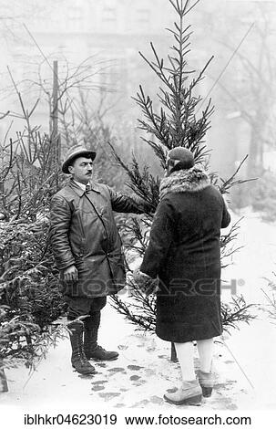 Stock Photo - Christmas tree for sale ca. 1930, exact location unknown, Germany, Europe. Fotosearch