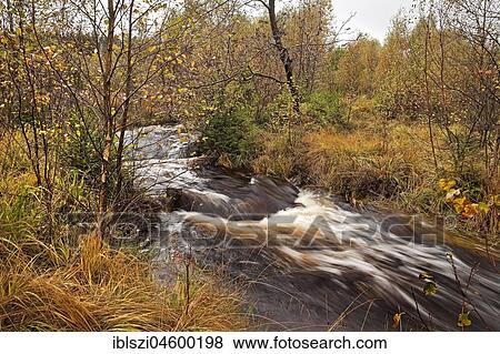 Creek in autumn, Hohes Venn, Monschau, Eifel, North Rhine-Westphalia, Germany, Europe View Large Photo Image Stock Photo - Creek in autumn, Hohes Venn, Monschau, Eifel, North Rhine-Westphalia, Germany, Europe. Fotosearch