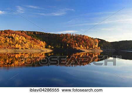 Deciduous forest on bank of Rappbode Dam, autumn colours, Harz Mountains, Elbingerode, Saxony-Anhalt, Germany, Europe View Large Photo Image Stock Photography - Deciduous forest on bank of Rappbode Dam, autumn colours, Harz Mountains, Elbingerode, Saxony-Anhalt, Germany, Europe. Fotosearch