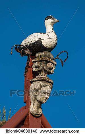 Decorated gable, carved eider duck figure and woman's head, old islandic turf house Laufás, museum, Eyjafjörður, Iceland, Europe View Large Photo Image Stock Photograph - Decorated gable, carved eider duck figure and woman's head, old islandic turf house Laufás, museum, Eyjafjörður, Iceland, Europe. Fotosearch