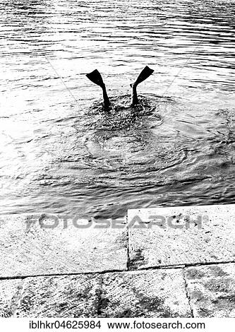 Diver's fins looking out of water ca. 1970's, exact place unknown, Czech Republic, Europe View Large Photo Image Picture - Diver's fins looking out of water ca. 1970's, exact place unknown, Czech Republic, Europe. Fotosearch