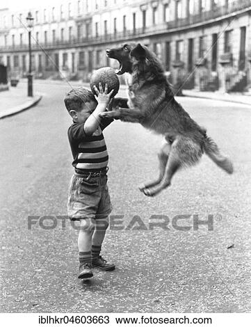 Dog and boy play with a ball, England, Great Britain View Large Photo Image Stock Image - Dog and boy play with a ball, England, Great Britain. Fotosearch