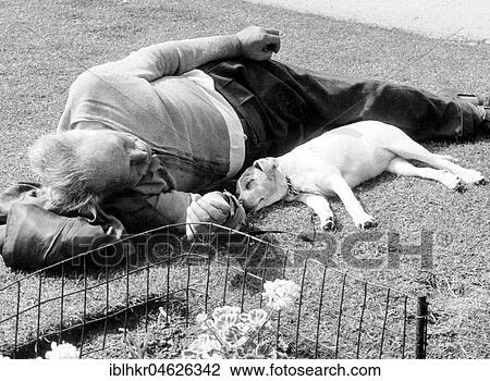 Dog and owner sleep in the grass ca. 1955, exact place unknown, Germany, Europe View Large Photo Image Stock Image - Dog and owner sleep in the grass ca. 1955, exact place unknown, Germany, Europe. Fotosearch
