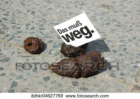 Dog shit, Germany, Europe View Large Photo Image Stock Photo - Dog shit, Germany, Europe. Fotosearch