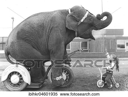 Stock Photography - Elephant and girls on tricycles, England, Great Britain. Fotosearch