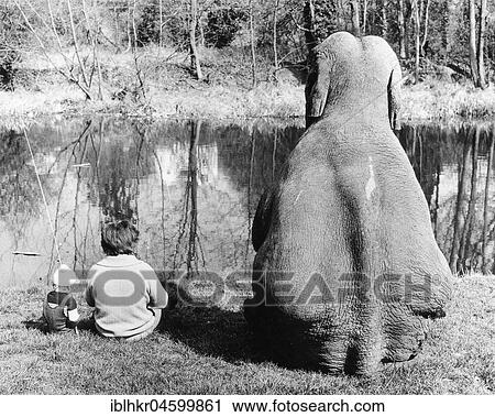 Elephant fishing, England, Great Britain View Large Photo Image Stock Image - Elephant fishing, England, Great Britain. Fotosearch