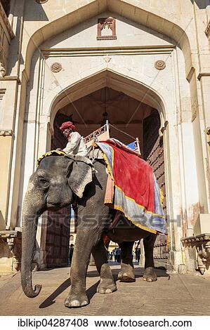 Stock Photo - Elephant riding for tourists in front of the Amber Fort, Jaipur, Rajasthan. Fotosearch