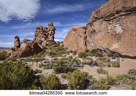 Stock Image - Eroded Rock, Valle de las Rocas, rocky valley, Uyuni, Altiplano, border triangle, Bolivia, Argentina, Chile, South America. Fotosearch