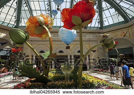 Exhibits in botanical garden conservatory, Bellagio Hotel, Las Vegas, Nevada, USA, North America View Large Photo Image Stock Photography - Exhibits in botanical garden conservatory, Bellagio Hotel, Las Vegas, Nevada, USA, North America. Fotosearch