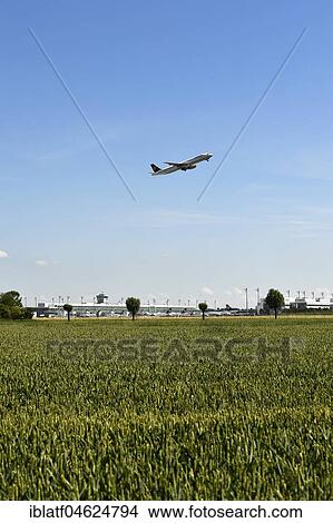 Field with airport grounds in the background, aircraft at take-off, Lufthansa Airbus A321, Munich Airport, Germany, Europe View Large Photo Image Picture - Field with airport grounds in the background, aircraft at take-off, Lufthansa Airbus A321, Munich Airport, Germany, Europe. Fotosearch