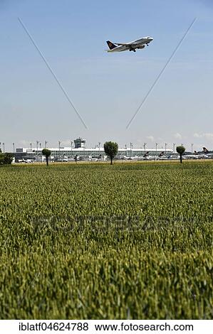 Field with airport grounds in the background, aircraft at take-off, Lufthansa Airbus A319, Munich Airport, Germany, Europe View Large Photo Image Stock Photo - Field with airport grounds in the background, aircraft at take-off, Lufthansa Airbus A319, Munich Airport, Germany, Europe. Fotosearch