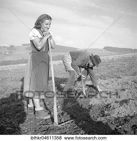 Field worker, farmers, agriculture, ca. 1955, near Freiburg, Germany, Europe View Large Photo Image Stock Photo - Field worker, farmers, agriculture, ca. 1955, near Freiburg, Germany, Europe. Fotosearch