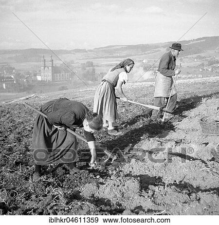 Stock Photo - Field worker, farmers, agriculture, ca. 1955, near Freiburg, Germany, Europe. Fotosearch