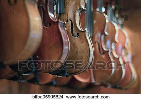 Picture - Finished violins, master violin maker Rainer W. Leonhardt, Mittenwald, Bavaria, Germany, Europe. Fotosearch