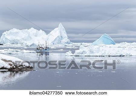 Fishing boat between large icebergs, Ilulisaat, Greenland, North America View Large Photo Image Stock Image - Fishing boat between large icebergs, Ilulisaat, Greenland, North America. Fotosearch