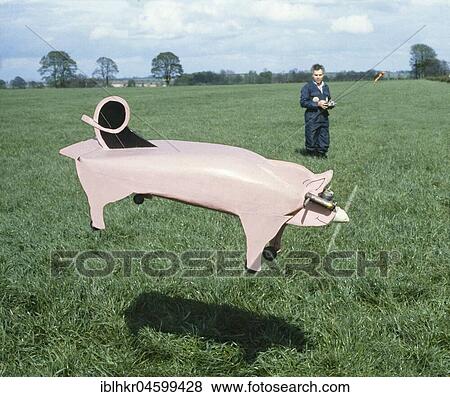 Flying Pig, England, Great Britain View Large Photo Image Stock Photo - Flying Pig, England, Great Britain. Fotosearch