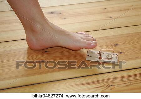 Picture - Foot steps into mouse trap, Berlin, Germany, Europe. Fotosearch