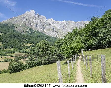 Stock Photo - Footpath in front of the Pena Remona mountain, Fuente De, Cantabria, Spain, Europe. Fotosearch