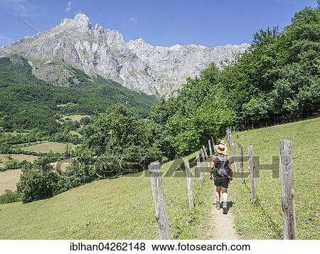 Footpath with hiker in front of the Pena Remona mountain, Fuente De, Cantabria, Spain, Europe View Large Photo Image Stock Photo - Footpath with hiker in front of the Pena Remona mountain, Fuente De, Cantabria, Spain, Europe. Fotosearch